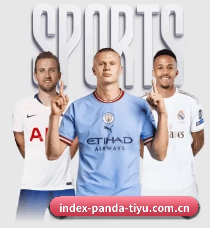 实时比分与赛程查询