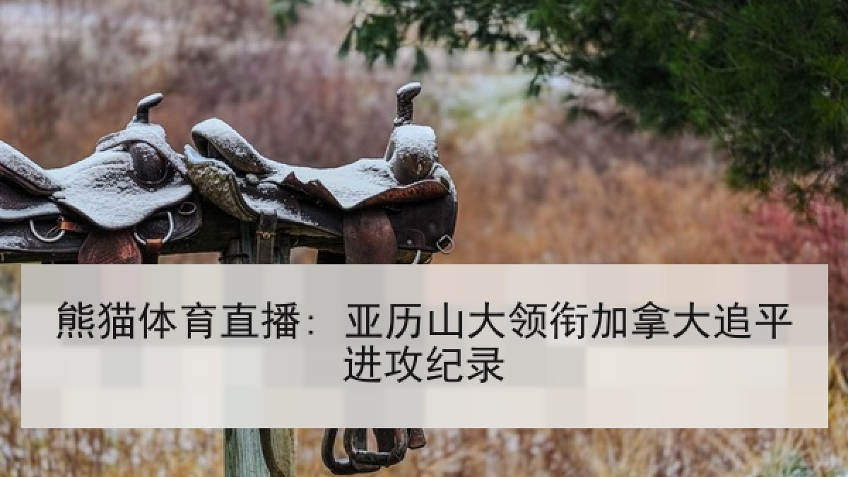 熊猫体育直播: 亚历山大领衔加拿大追平进攻纪录